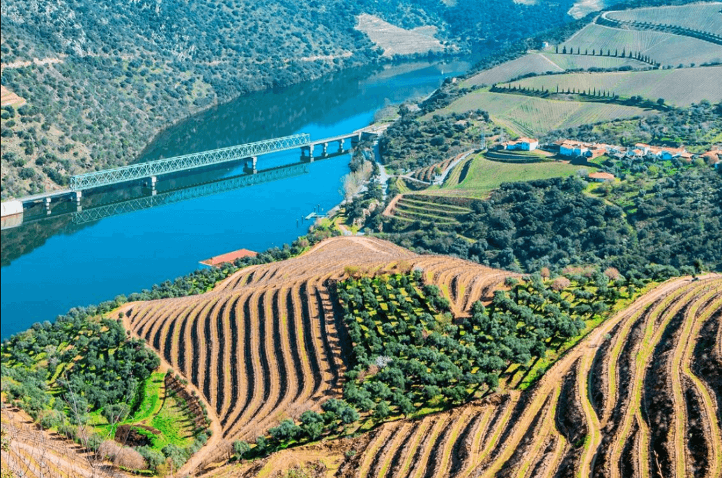 Venha Conhecer os Miradouros Imperdíveis no Douro